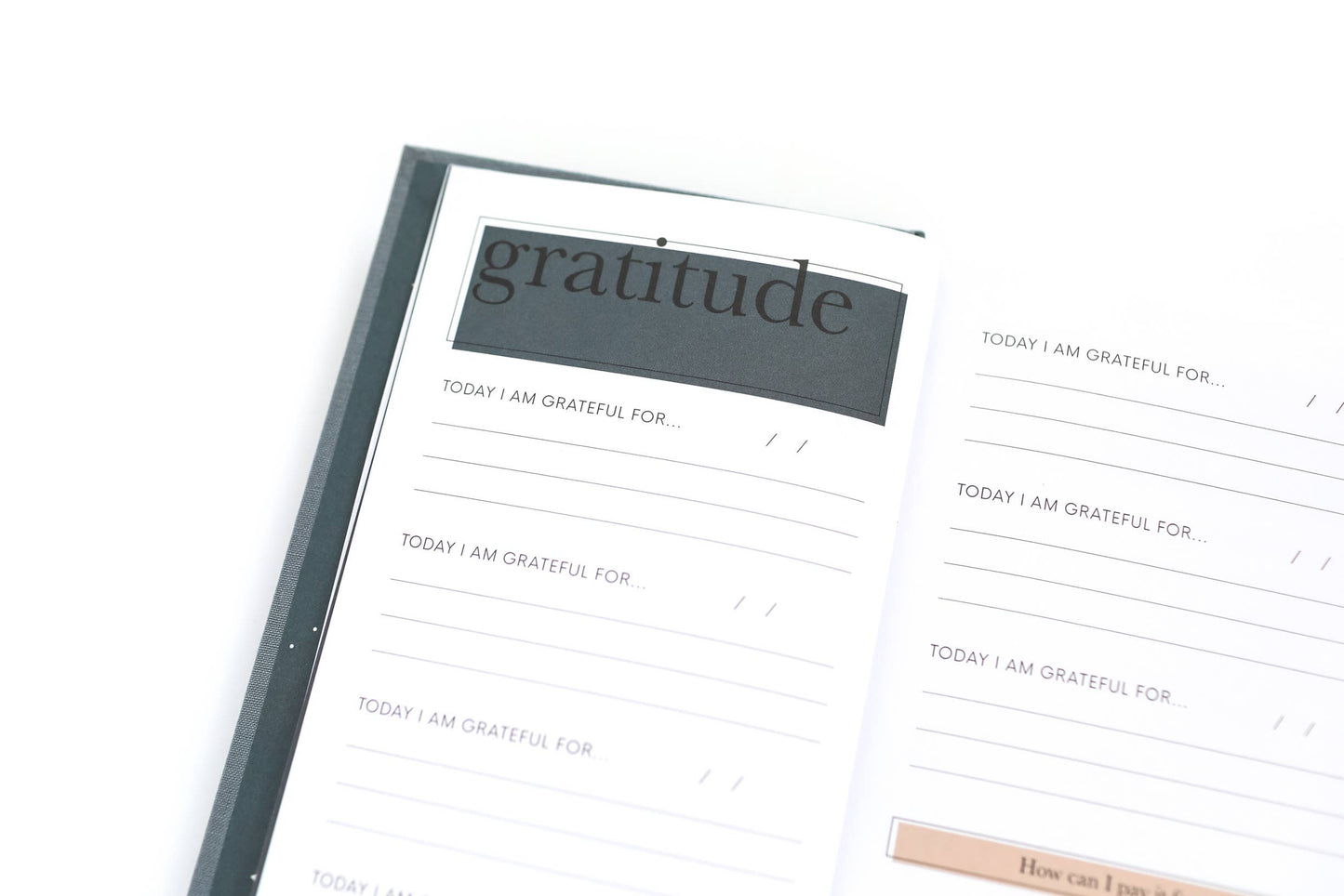 Gratitude Journal for Women